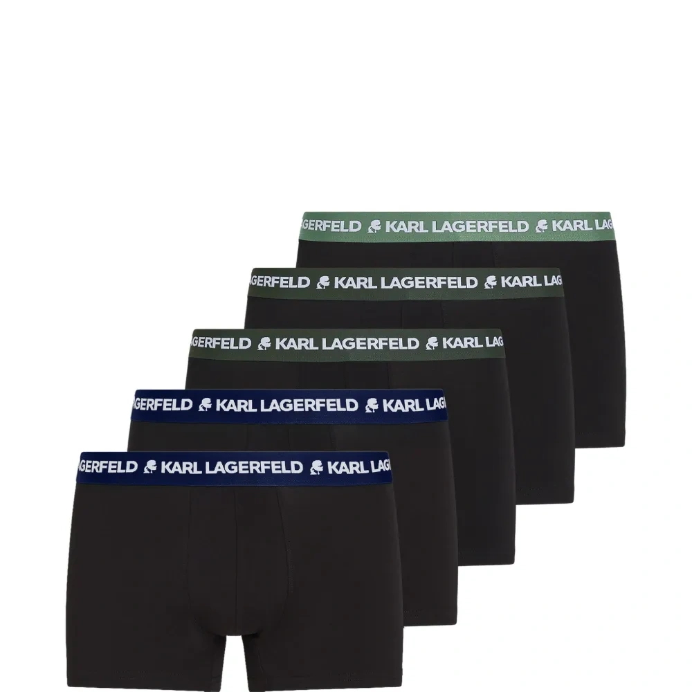 Комплект из пяти боксеров с логотипом