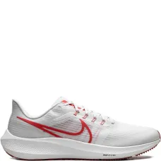 Дорожные беговые кроссовки Air Zoom Pegasus 39