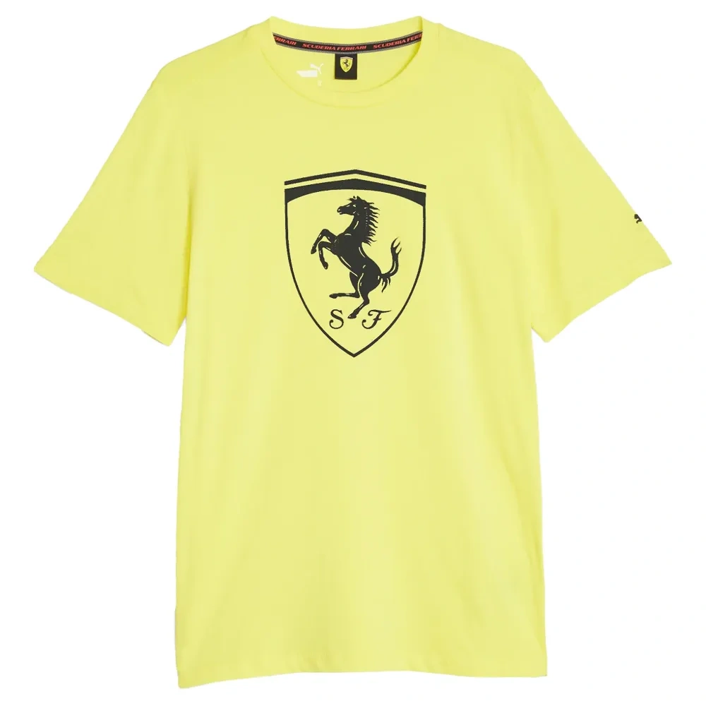 Футболка с тональным щитом