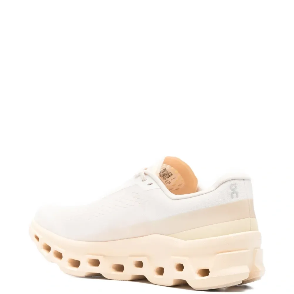 Кроссовки Cloudmonster 1