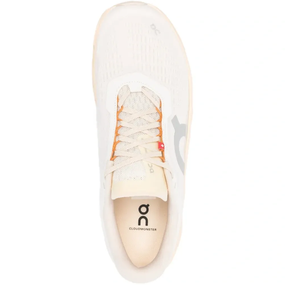 Кроссовки Cloudmonster 1