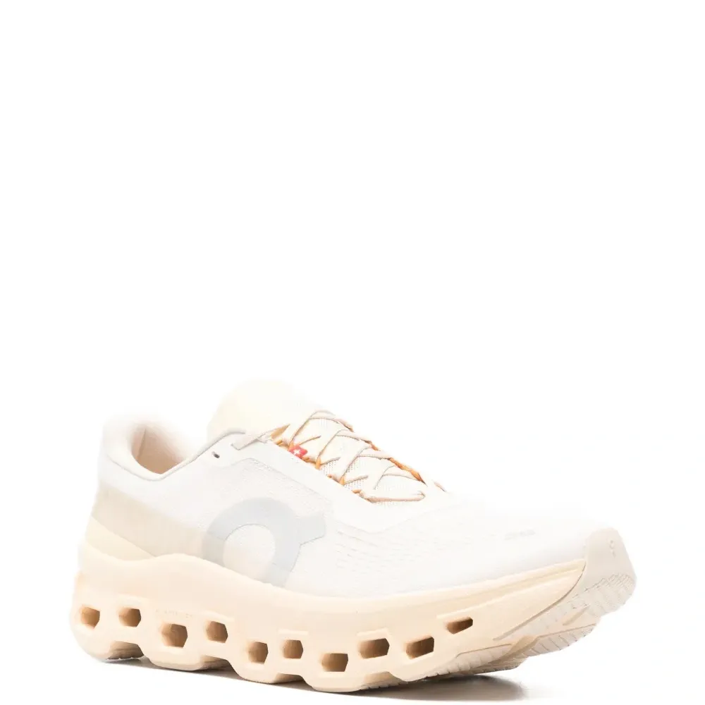 Кроссовки Cloudmonster 1