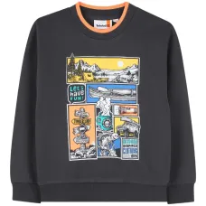 Свитшот с графическим принтом