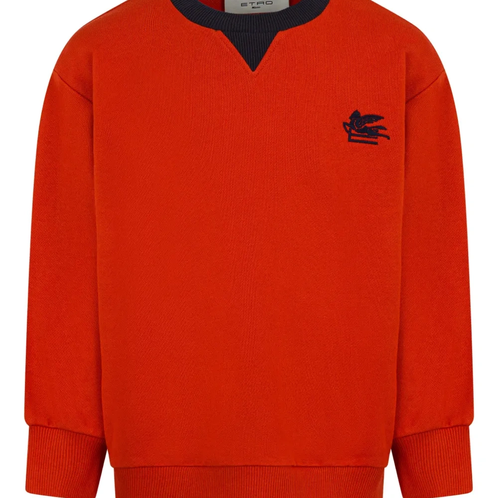 Свитер с мотивом Пегаса