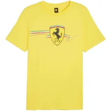 Футболка с изображением щита