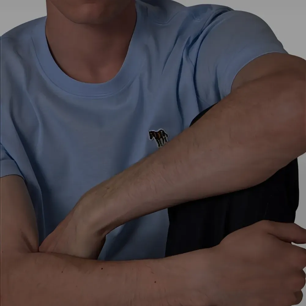 Футболка с нашивкой в виде зебры