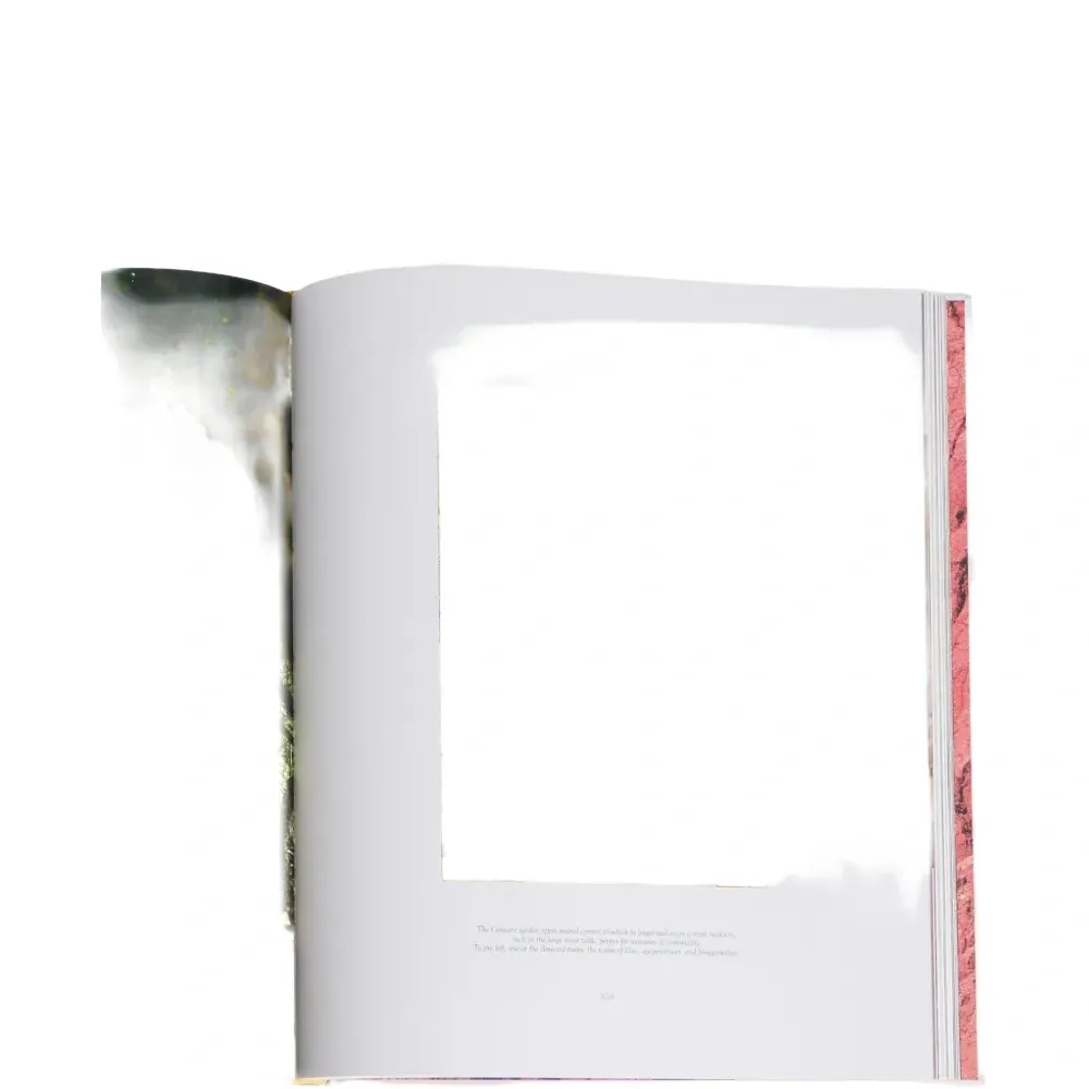 Книга "Жилища Саленто"