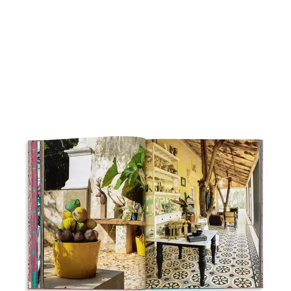 Книга «Внутри Юкатана: Скрытая Мерида и окрестности»