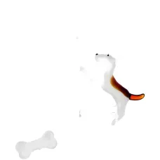 Кружка с бультерьером и косточкой