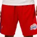 Спортивные шорты в сотрудничестве с NBA Los Angeles Clippers