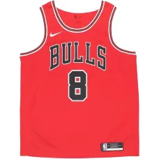 Жилет Chicago Bulls Icon Edition с именем Зака Лавина