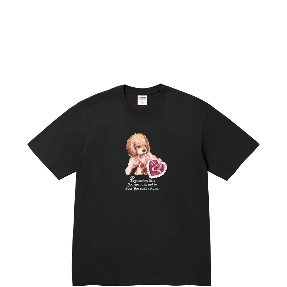 Футболка Dust