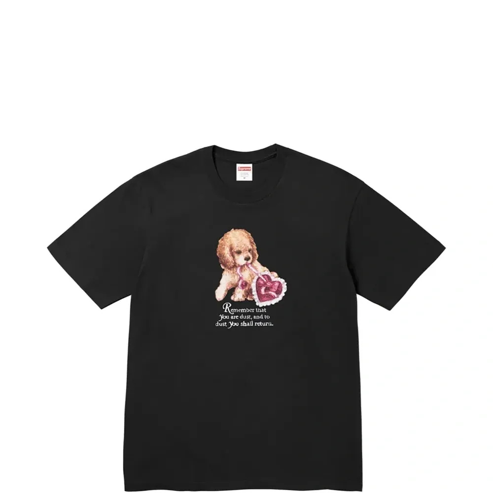 Футболка Dust