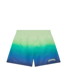 Плавки-шорты с градиентом и принтом логотипа