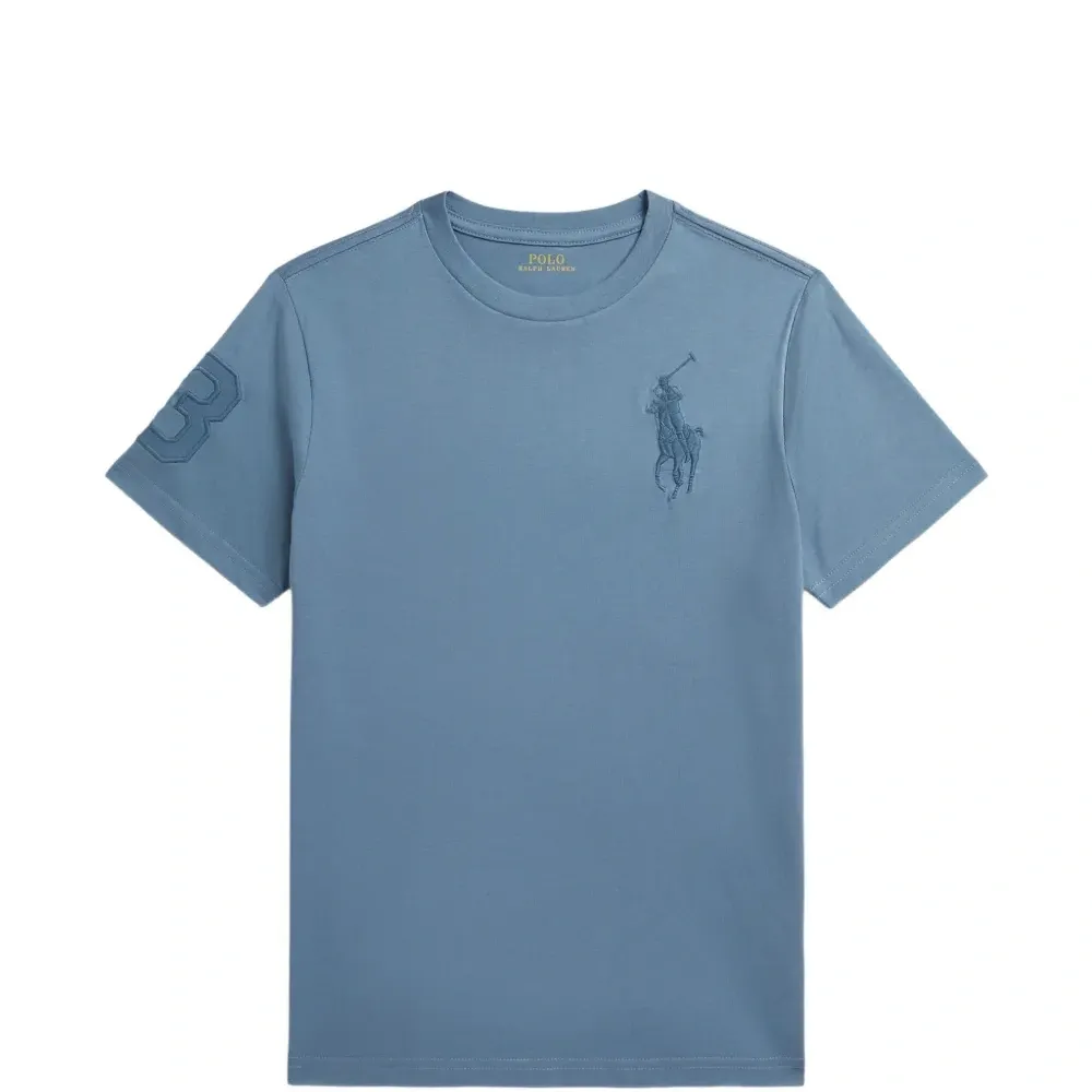 Футболка с вышивкой Big Pony