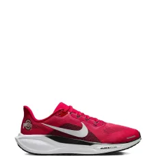 Ohio State Pegasus 41 — Кроссовки Pegasus 41 с символикой Университета штата Огайо