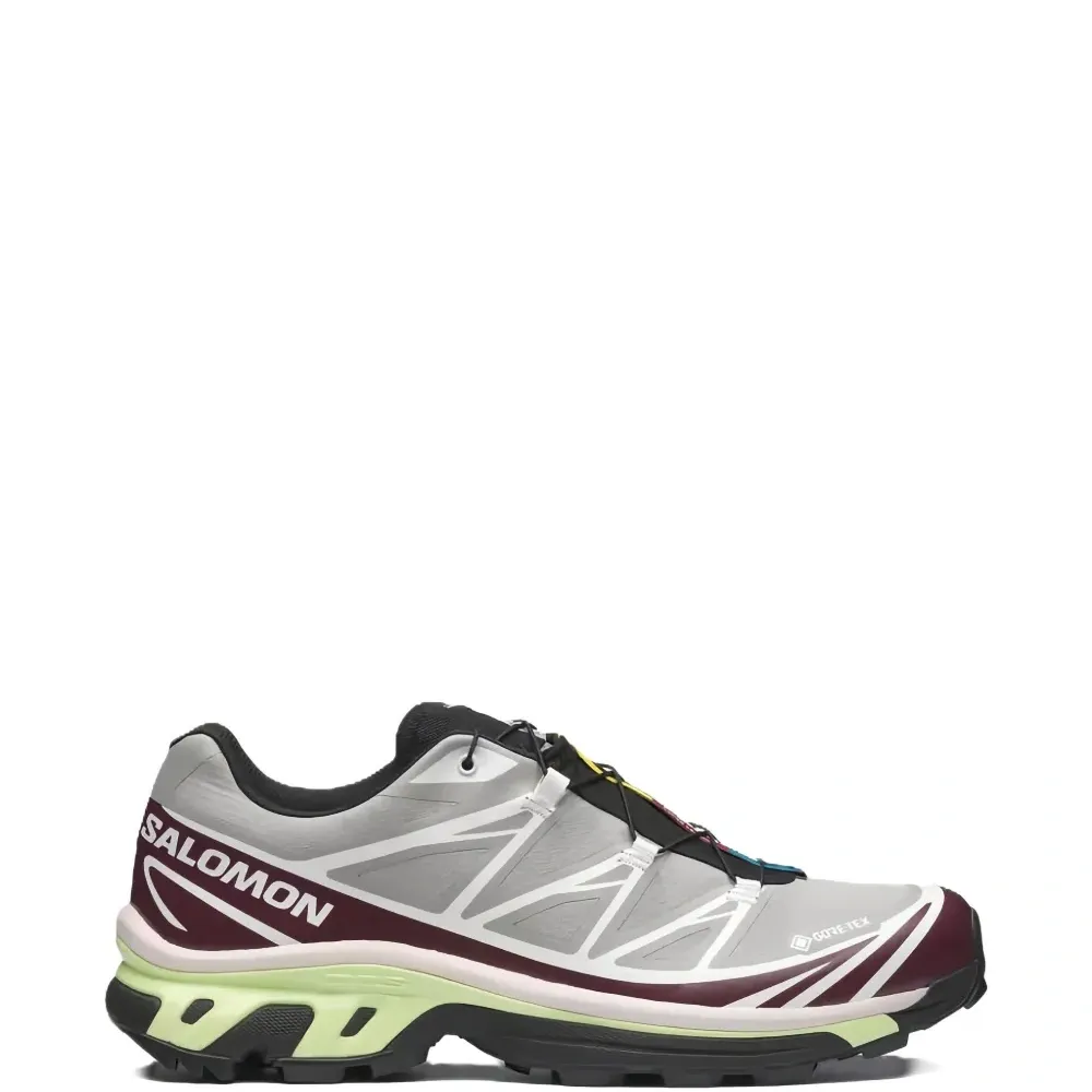 Кроссовки Xt-6 Gore-Tex