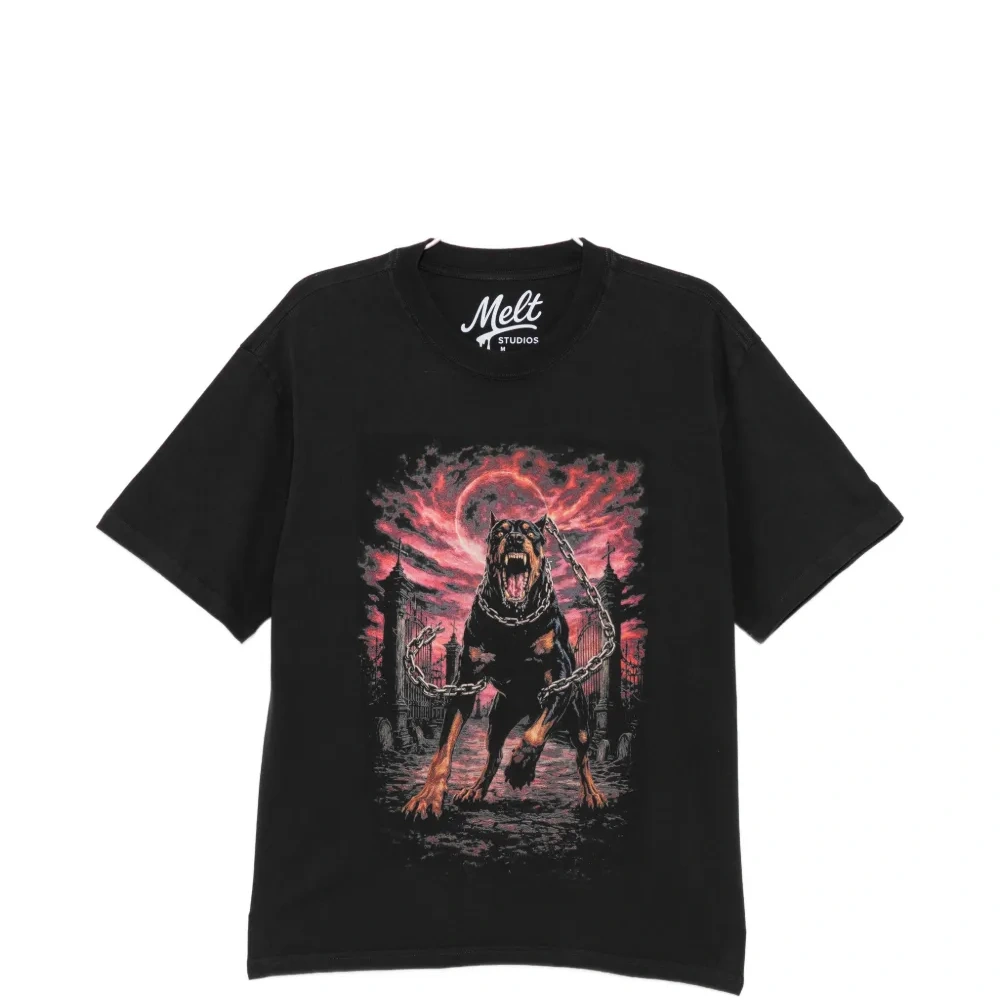 Футболка с графическим принтом