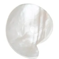 Блюдо "Наутилус"