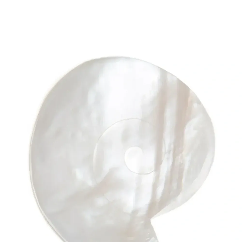 Блюдо "Наутилус"