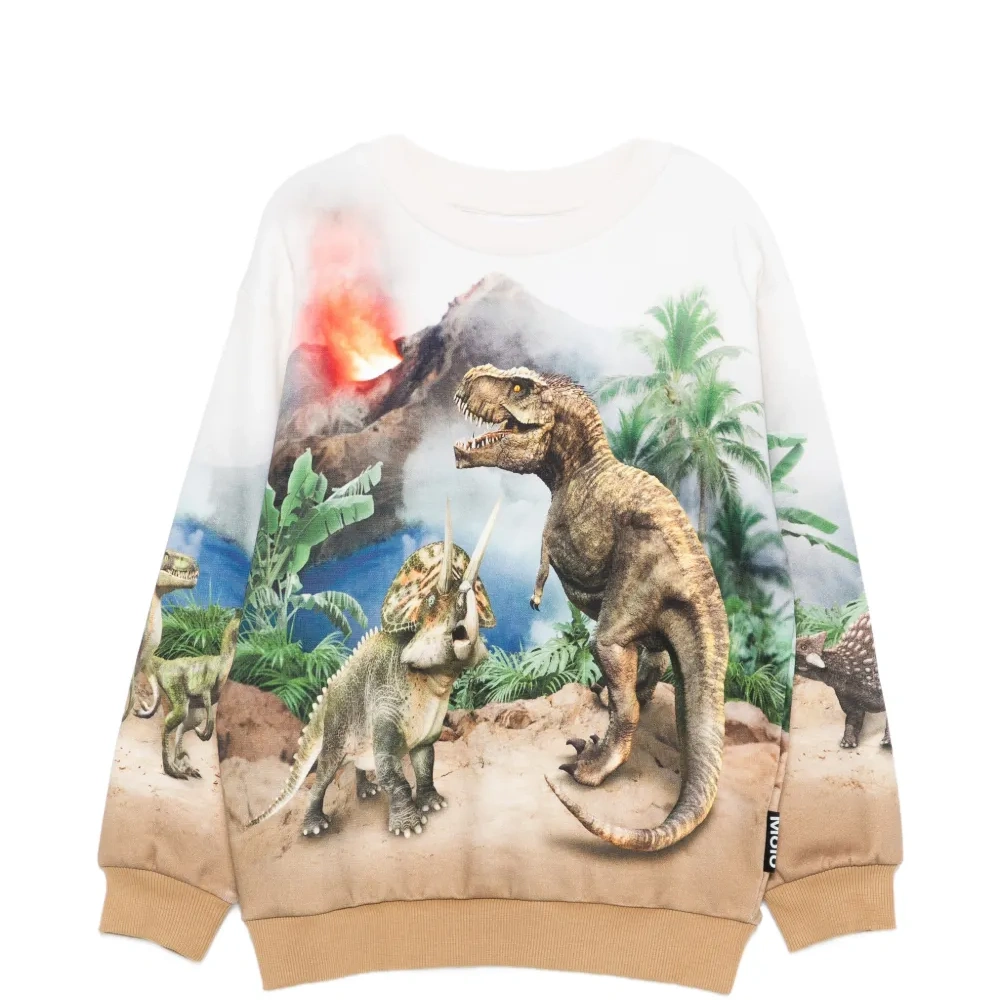 Свитшот с изображением динозавра