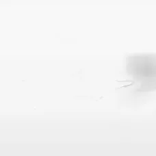 Футболка с графическим принтом Valdez