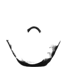 Сумка-тоут Soma с магнитной застежкой